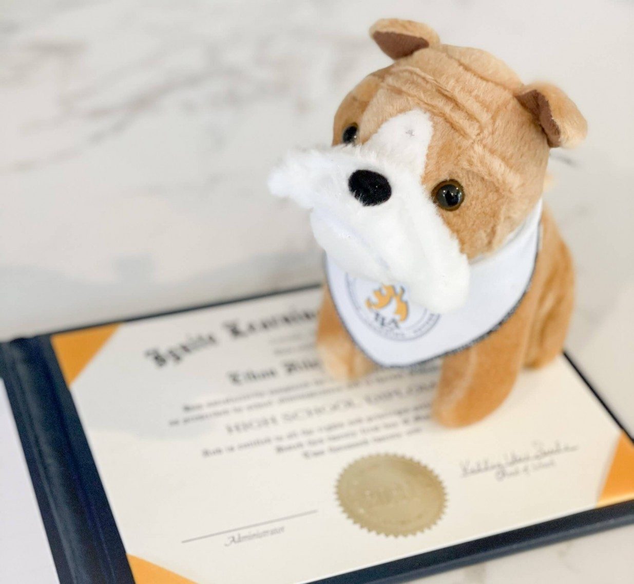 HS-Diploma-Signing_1235x1136a.jpg